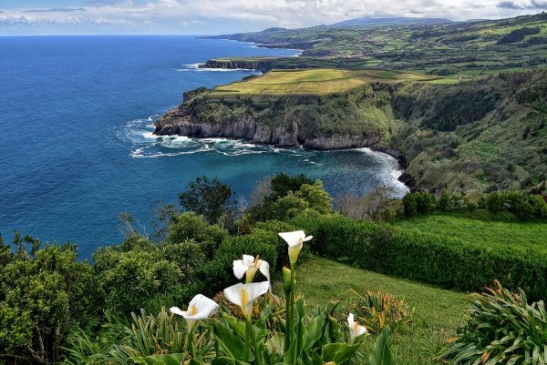 Остров Фаял Азорские острова