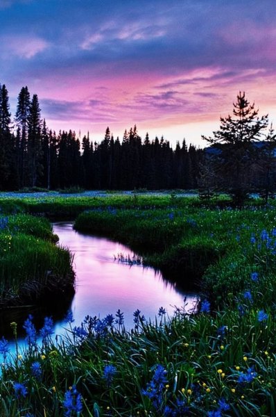 Пейзажи природы