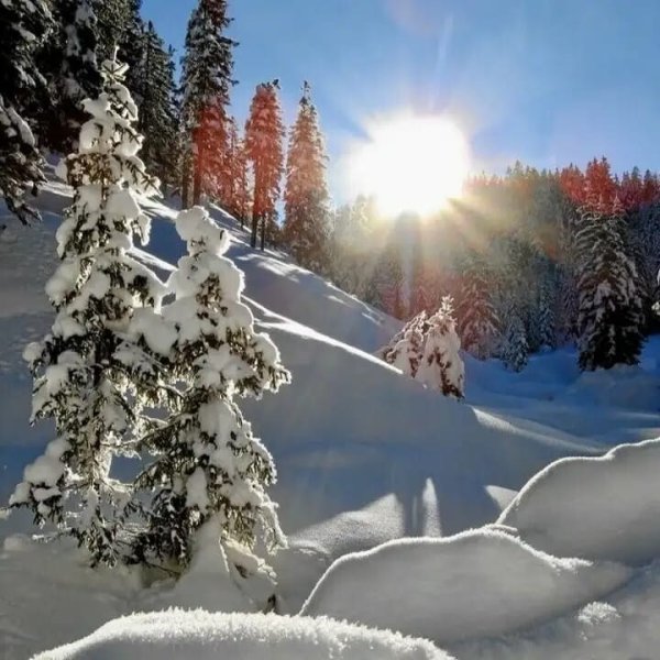 Художник Евгений Карлович пейзажи