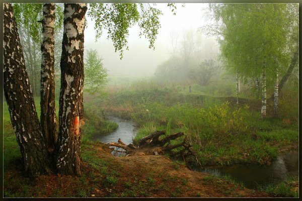 Утро природа