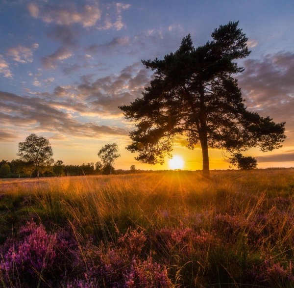 Доброе утро природа