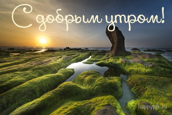 Утро солнце природа