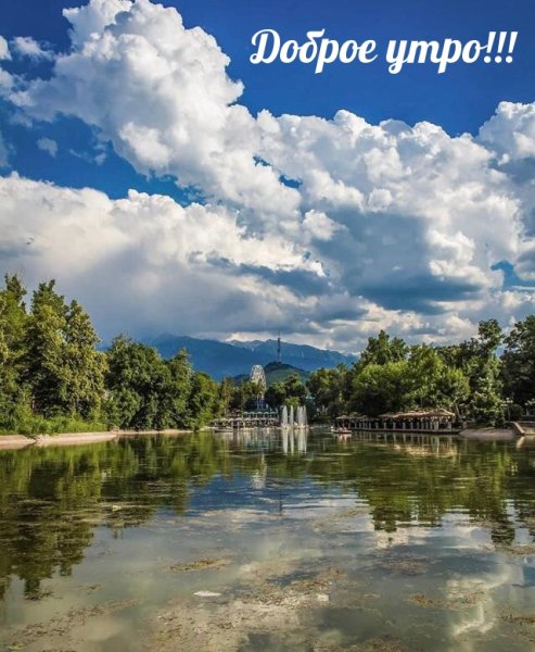 Утро на реке