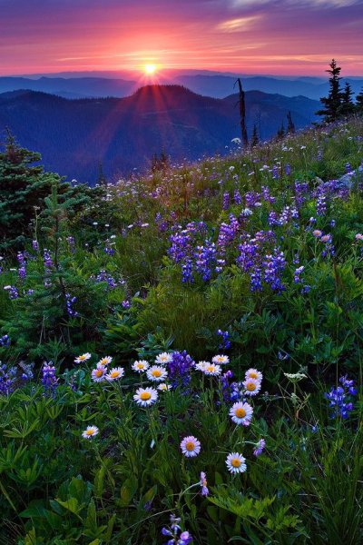 Рассвет в горах