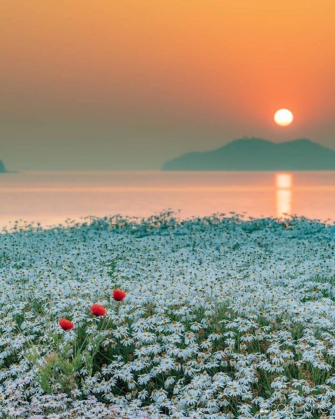 Доброе августовское утро в деревне