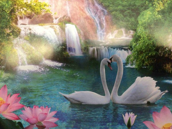 Сказочное озеро с лебедями