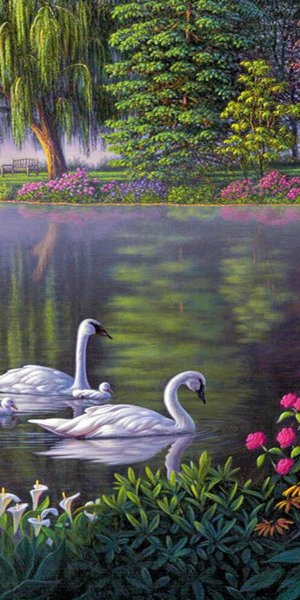 Пейзаж с лебедями