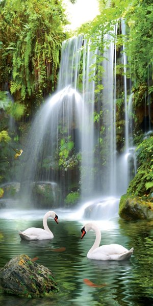 Водопад и птицы