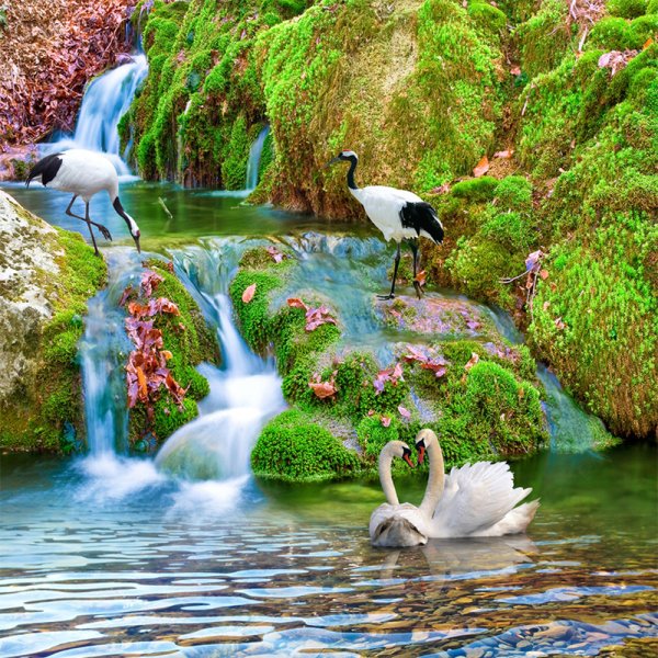 Водопад и птицы