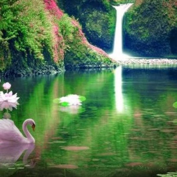 Лебеди и водопады