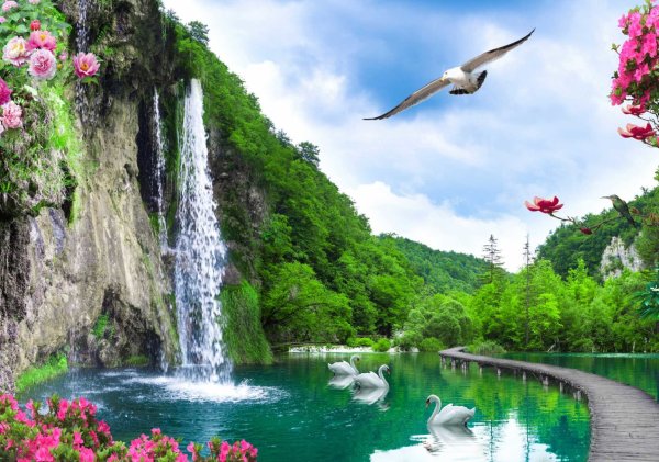 Водопад и птицы