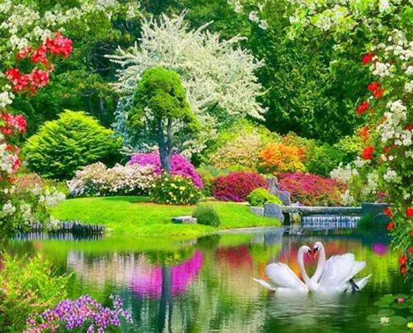 Весенний сад