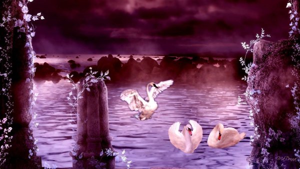 Шарль Дютуа Лебединое озеро