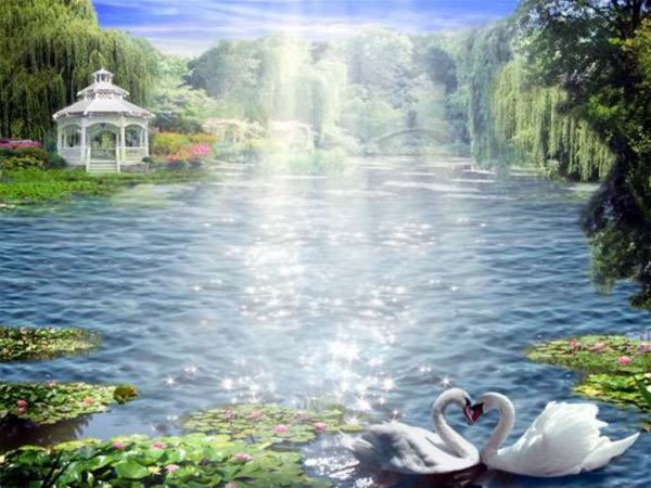 Сказочный пруд с лебедями