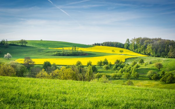 Родные просторы Пушгоры панорама