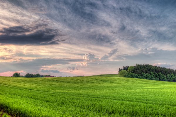 Природа поле