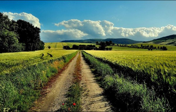 Равнинная дорога