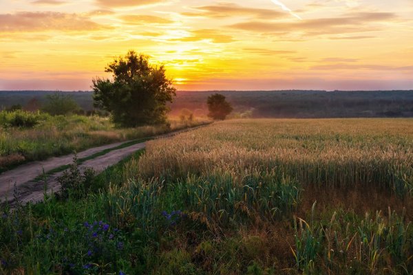 Рассвет летом