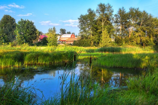 Ранняя Весна в деревне