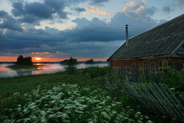 Художник Вячеслав палачев осень