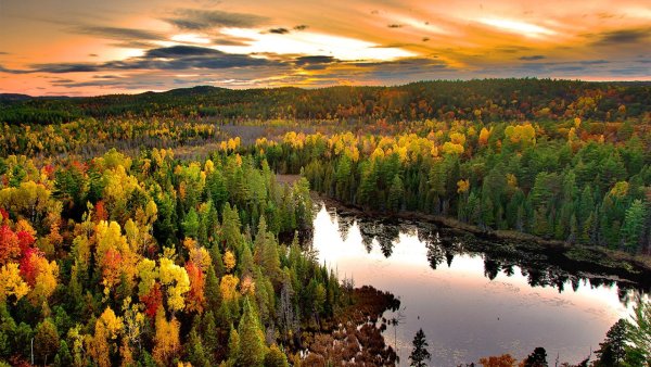 Таежные просторы Западной Сибири