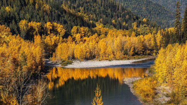 Природа Кузбасса осень