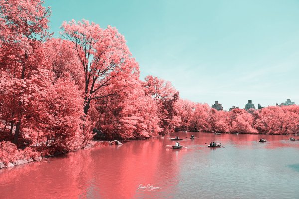 Пейзаж в розовых тонах