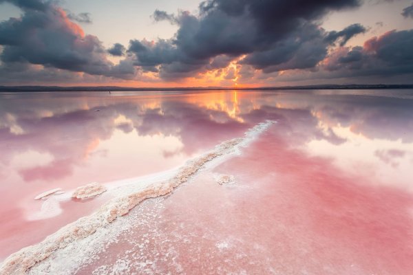 Розовое море