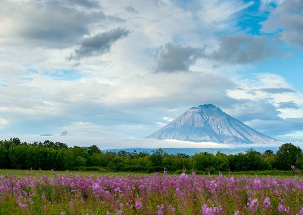 Камчатка сопки пейзажи