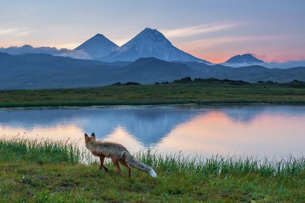 Ключевской парк Камчатка