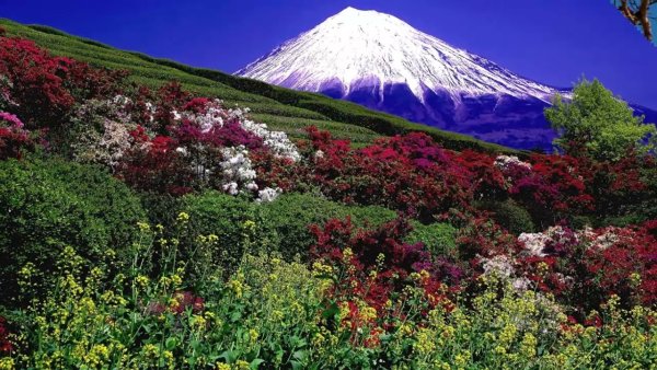 Горы вулкан Камчатка природа