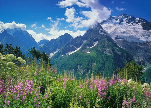 Горы Кавказа Домбай