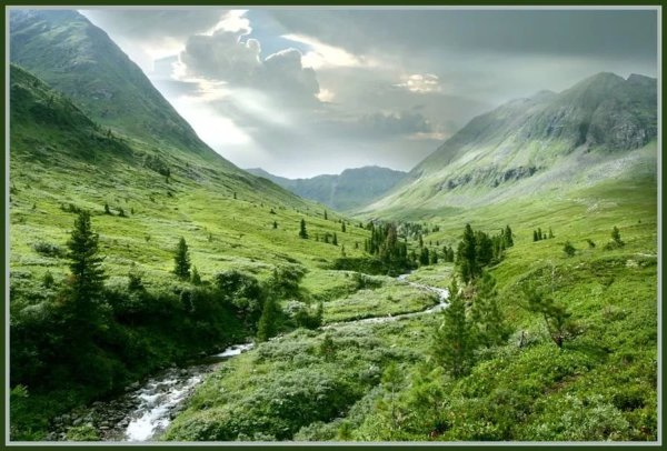 Боржомское ущелье Грузия