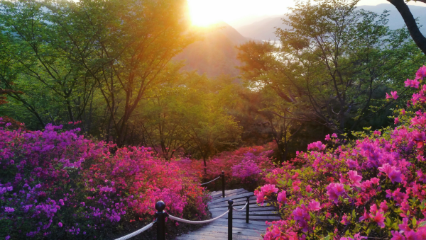 Пейзажи Южной Кореи