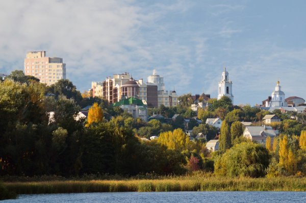 Воронеж природа и облик города