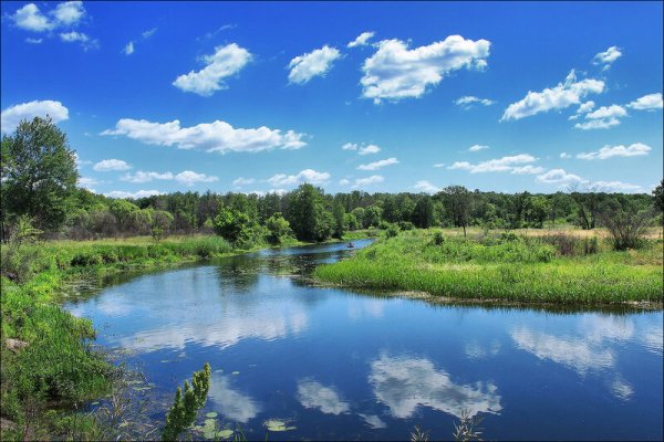 Воронежский район природа