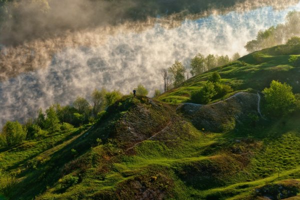 Черноземье природа