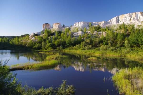 Парк белый колодец Воронежская область