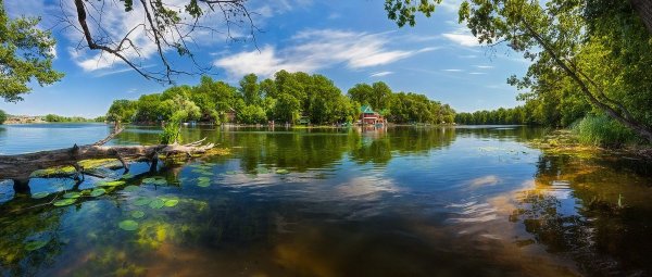 Берег реки Воронеж