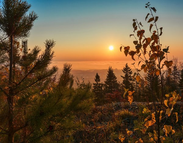 Новоуральск осень