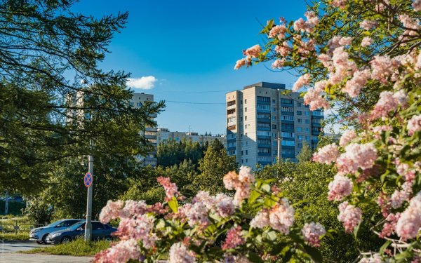 Весна в Новоуральске