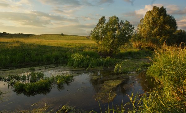 Степи Мордовии