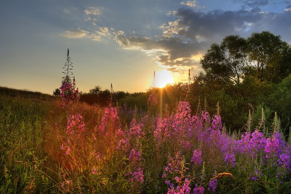 Республика Мордовия природа