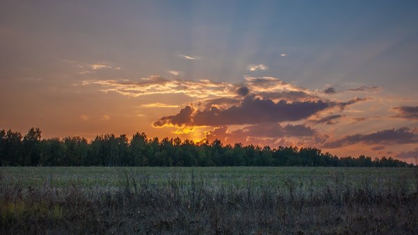 Мордовия пейзажи