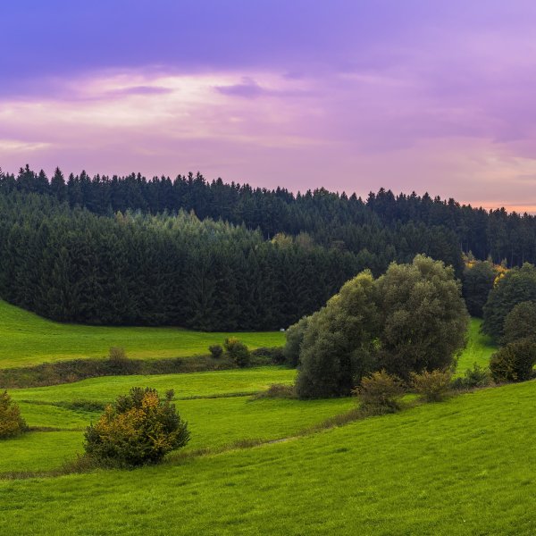 Ендовище озеро Мордовия