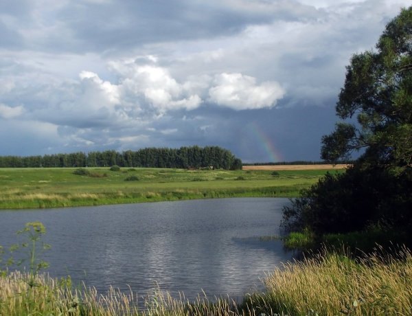 Климат Республики Мордовия