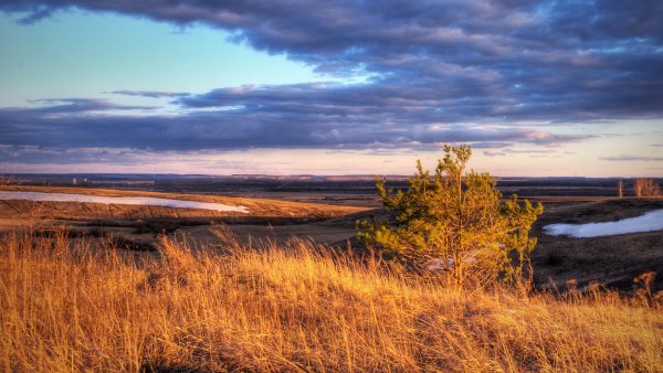 Саранск природа