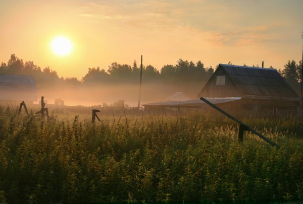 Темниковский заповедник