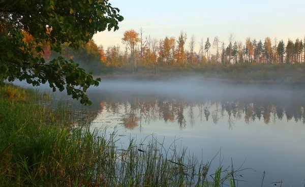 Климат Республики Мордовия