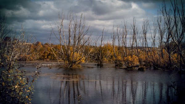 Саранск природа